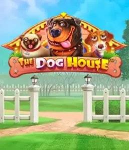 From Pragmatic Play comes The Dog House Slot, offering a delightful experience among lovable dogs. Discover gameplay elements including multipliers, designed for providing exciting wins. Perfect for animal enthusiasts a lighthearted setting and the opportunity to win big.