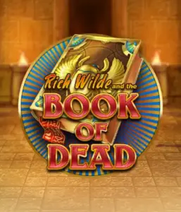 Dive into the thrilling world of Book of Dead Slot by Play'n GO, presenting vivid graphics of Rich Wilde’s adventurous journey through ancient Egyptian tombs and artifacts. Find lost riches with captivating mechanics like free spins, expanding symbols, and a gamble option. Ideal for those seeking adventure with a desire for exciting finds.